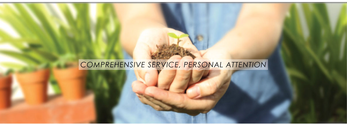 Comprehensive Service, Personal Attention